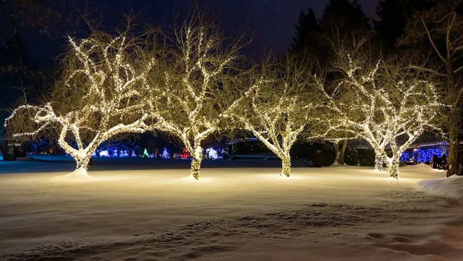 Choosing the Best Outdoor Lighting for Your Garden